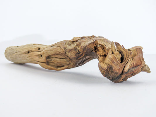Manzanita Driftwood