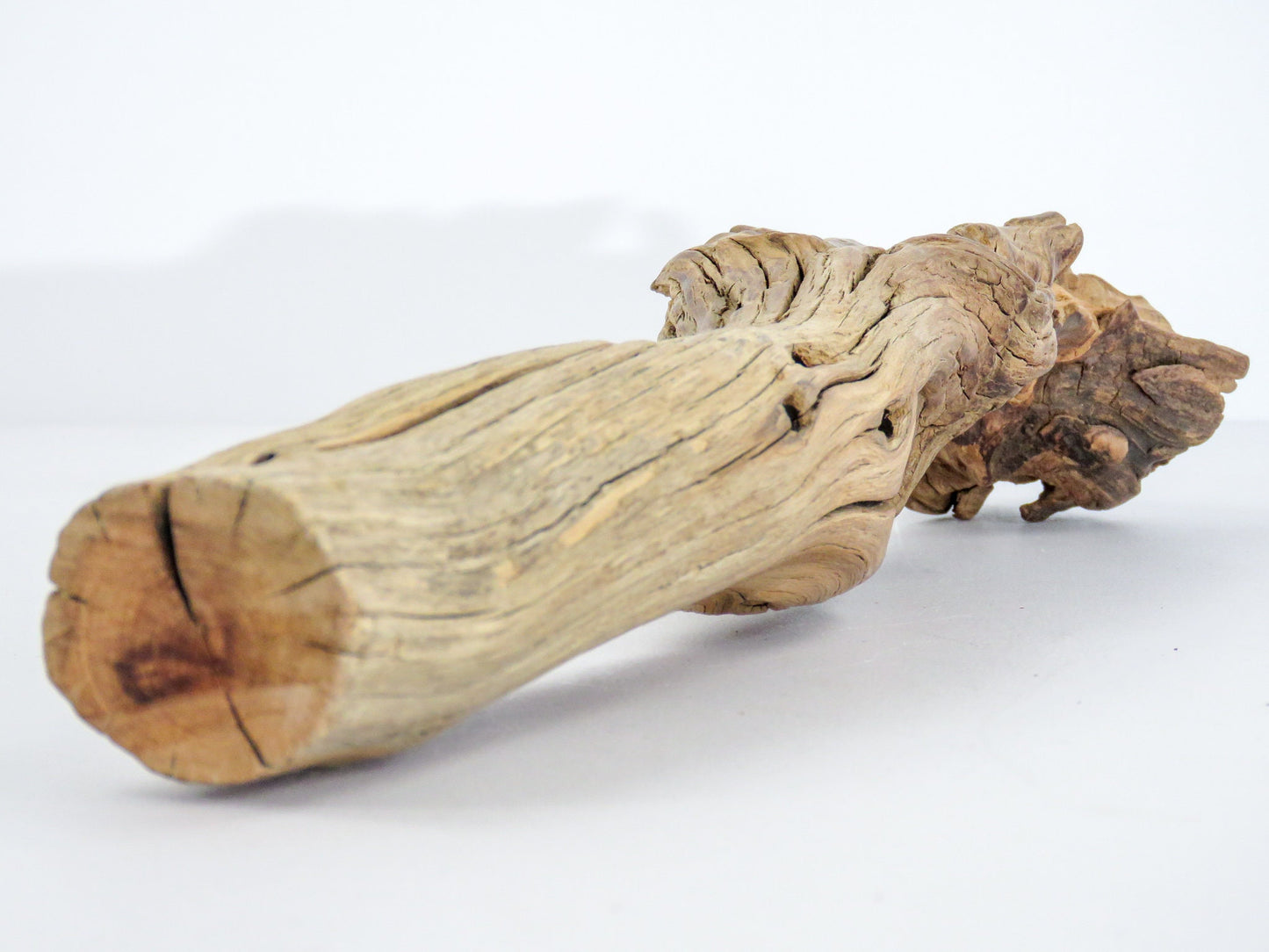 Unique Driftwood Decor, ( 14"x3"), Arizona Manzanita Branch, Terrarium Decor, Beach house Decor, Manzanita Driftwood, Manzanita Aquarium