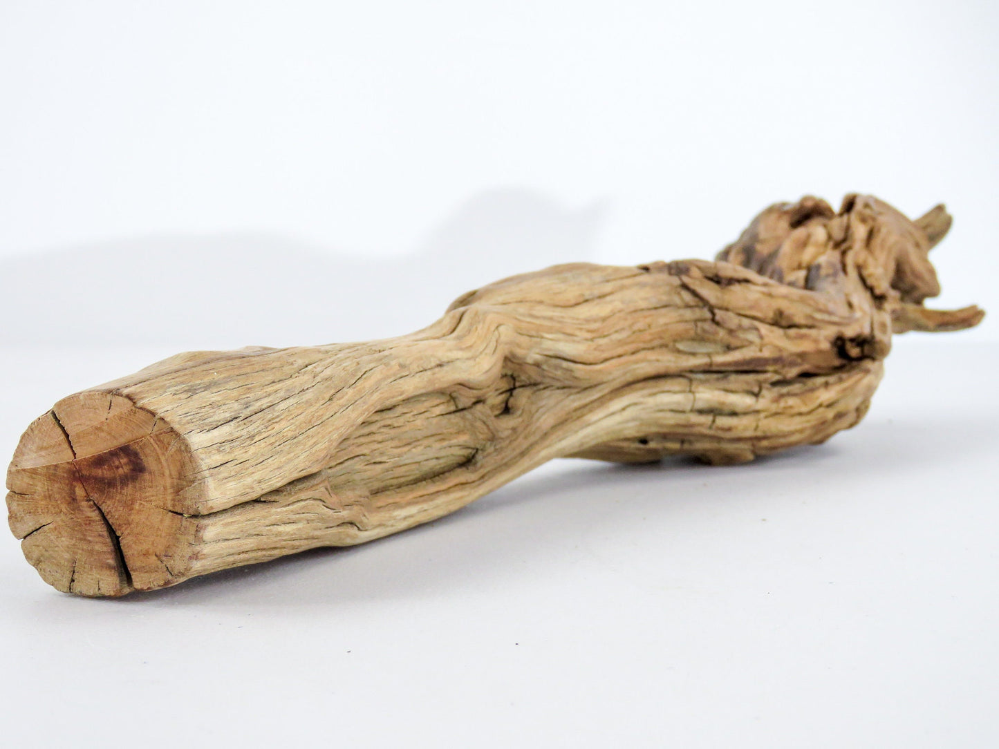 Unique Driftwood Decor, ( 14"x3"), Arizona Manzanita Branch, Terrarium Decor, Beach house Decor, Manzanita Driftwood, Manzanita Aquarium