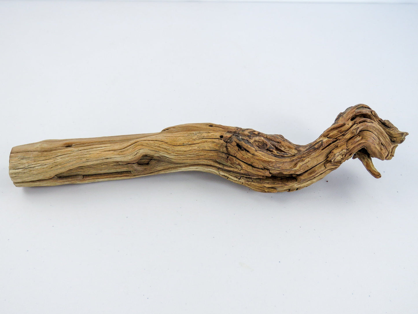 Unique Driftwood Decor, ( 14"x3"), Arizona Manzanita Branch, Terrarium Decor, Beach house Decor, Manzanita Driftwood, Manzanita Aquarium