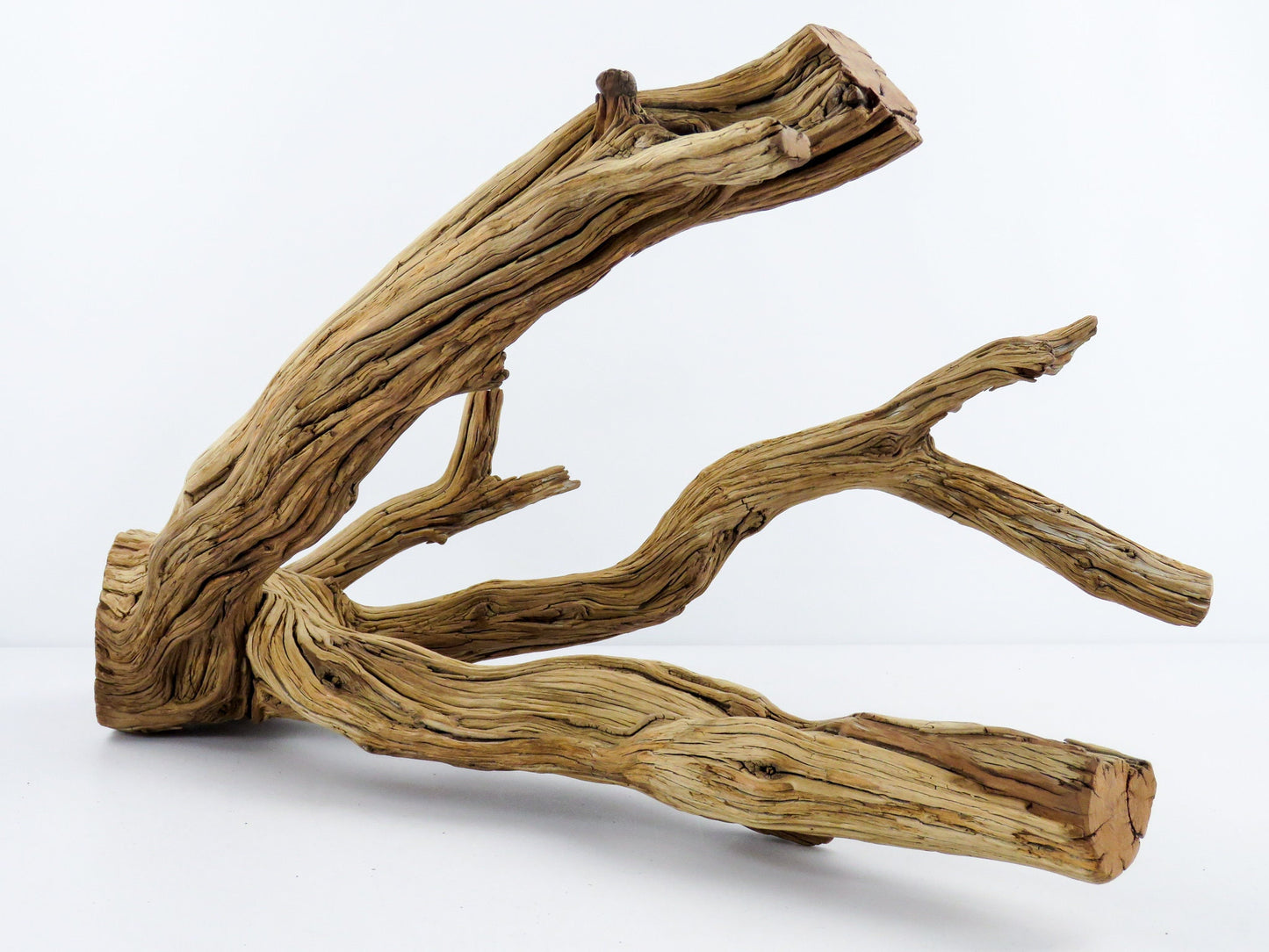 Large Aquarium Driftwood (22") Fish Tank Decor, Reptile Tank Decor, Terrarium Decor, Vivarium Decor, High-Quality Arizona Manzanita Branches