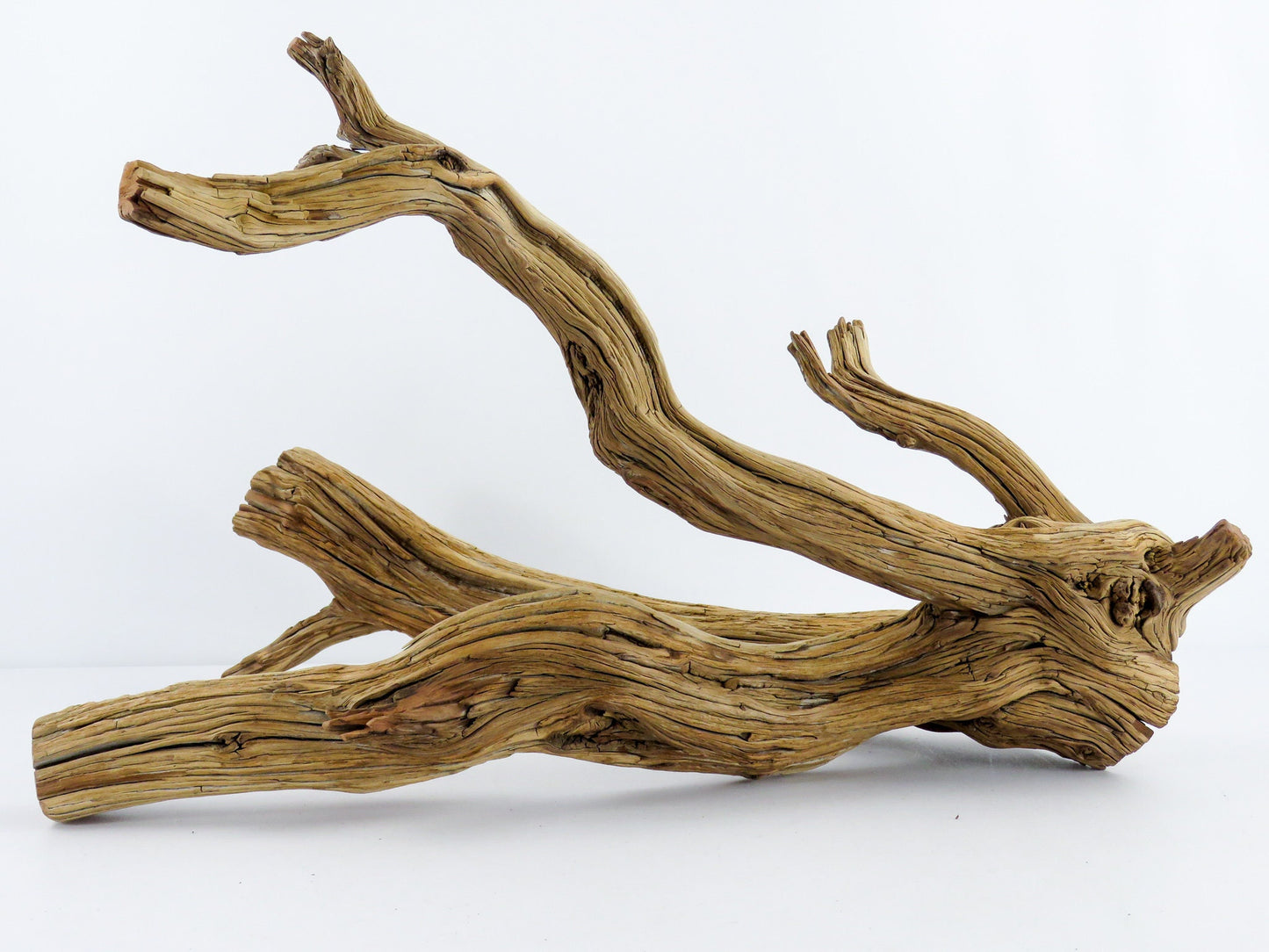Large Aquarium Driftwood (22") Fish Tank Decor, Reptile Tank Decor, Terrarium Decor, Vivarium Decor, High-Quality Arizona Manzanita Branches