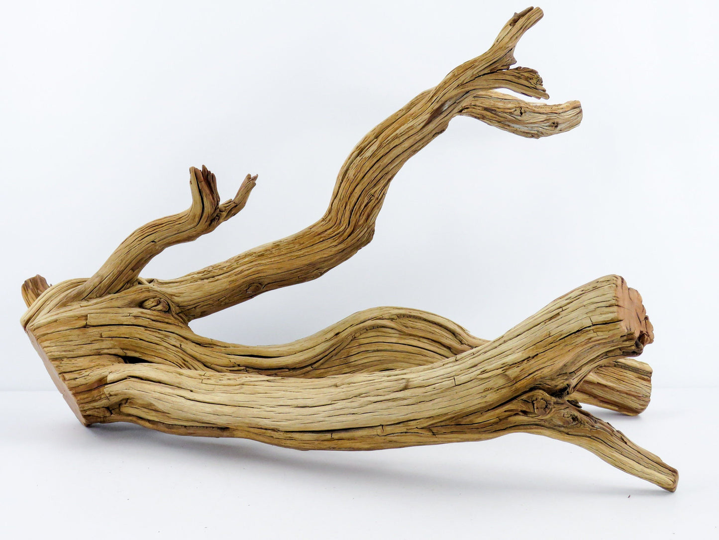Large Aquarium Driftwood (22") Fish Tank Decor, Reptile Tank Decor, Terrarium Decor, Vivarium Decor, High-Quality Arizona Manzanita Branches