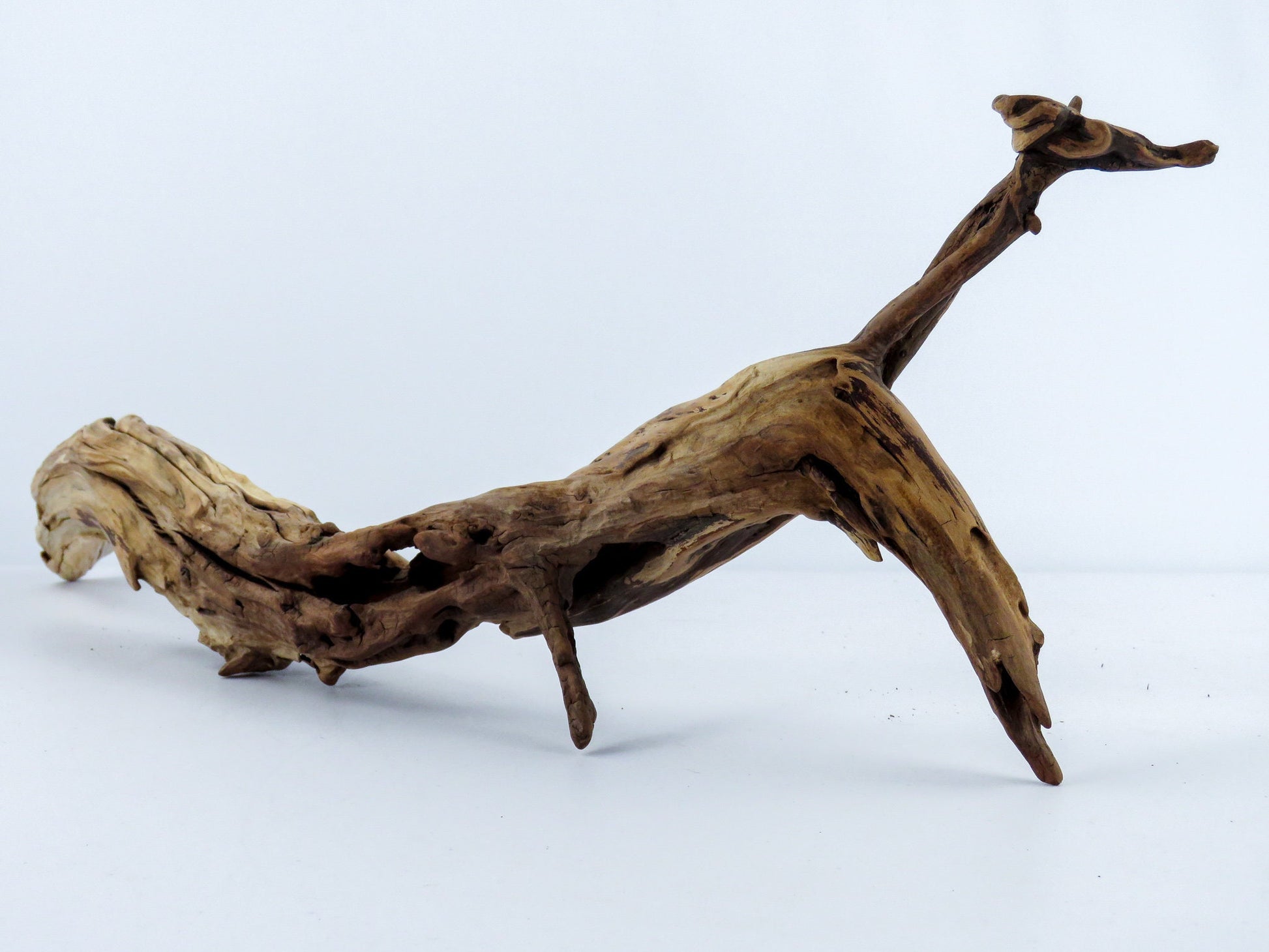 Manzanita Driftwood