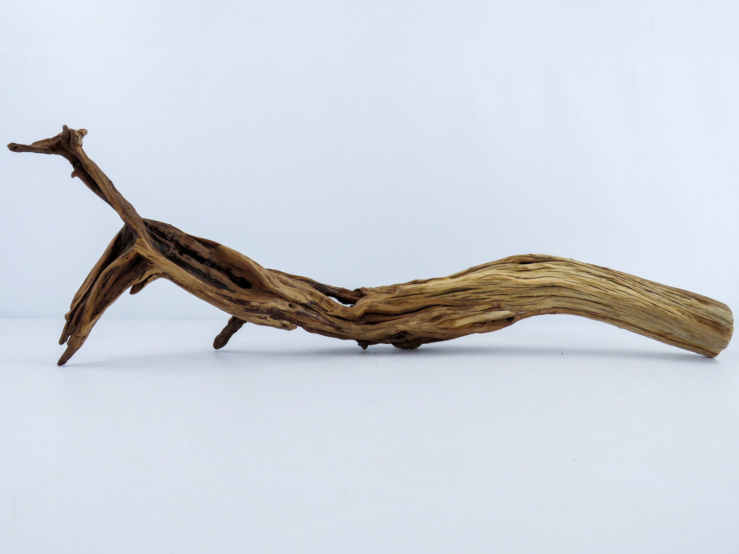 Unique Driftwood with Root, (22"), Reptile Tank Decor, Aquarium, Vivarium Decor, Terrarium Decor, High-Quality Arizona Manzanita Driftwood