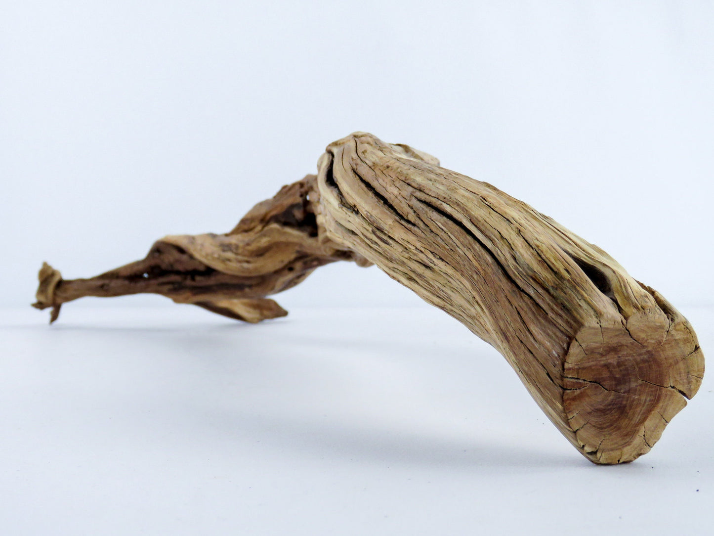 Unique Driftwood with Root, (22"), Reptile Tank Decor, Aquarium, Vivarium Decor, Terrarium Decor, High-Quality Arizona Manzanita Driftwood