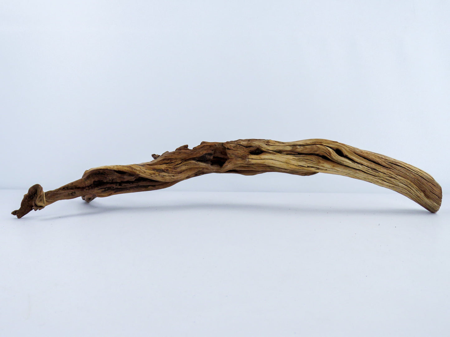 Unique Driftwood with Root, (22"), Reptile Tank Decor, Aquarium, Vivarium Decor, Terrarium Decor, High-Quality Arizona Manzanita Driftwood