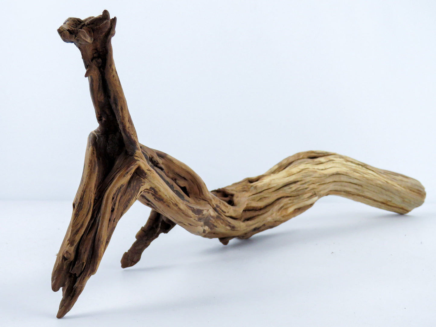 Unique Driftwood with Root, (22"), Reptile Tank Decor, Aquarium, Vivarium Decor, Terrarium Decor, High-Quality Arizona Manzanita Driftwood