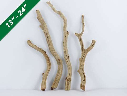 Root like Manzanita Branch Driftwood (2 pc set) Driftwood Art High-Qua –  theidealconditions