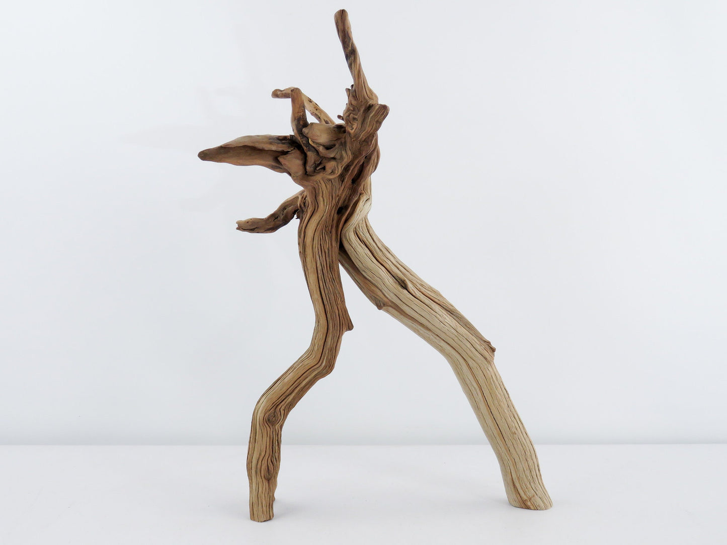 Unique Root-top Manzanita Driftwood, (16") Driftwood Art, High-Quality Arizona Manzanita Driftwood, Driftwood Sculpture, Driftwood Decor
