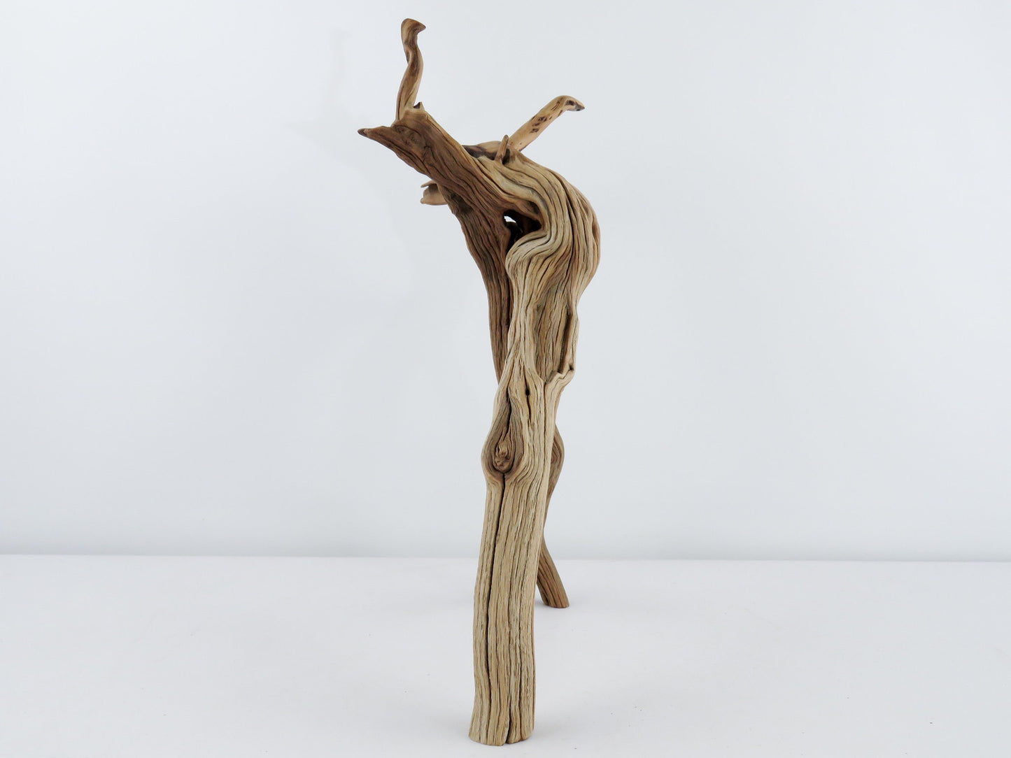 Unique Root-top Manzanita Driftwood, (16") Driftwood Art, High-Quality Arizona Manzanita Driftwood, Driftwood Sculpture, Driftwood Decor