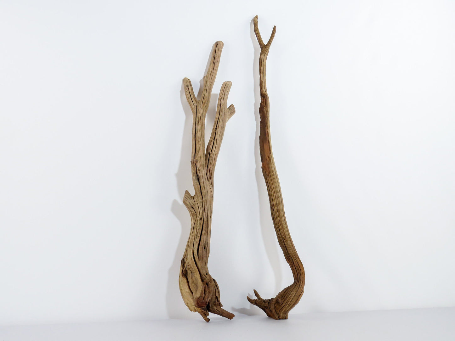 Smooth Manzanita Aquarium Driftwood, (2pc set), Reptile Terrarium, Driftwood Decor, Vivarium Wood, High-Quality Arizona Manzanita Branches