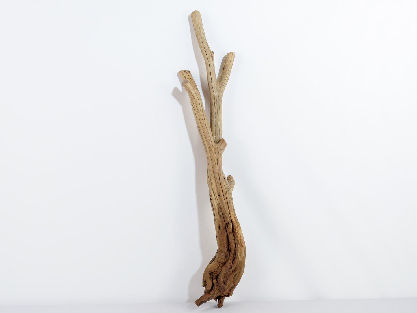 Smooth Manzanita Aquarium Driftwood, (2pc set), Reptile Terrarium, Driftwood Decor, Vivarium Wood, High-Quality Arizona Manzanita Branches