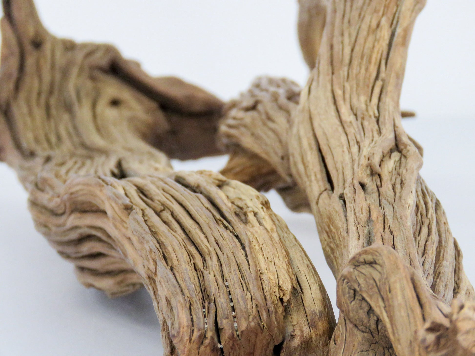 Root like Manzanita Branch Driftwood (2 pc set) Driftwood Art High-Qua –  theidealconditions