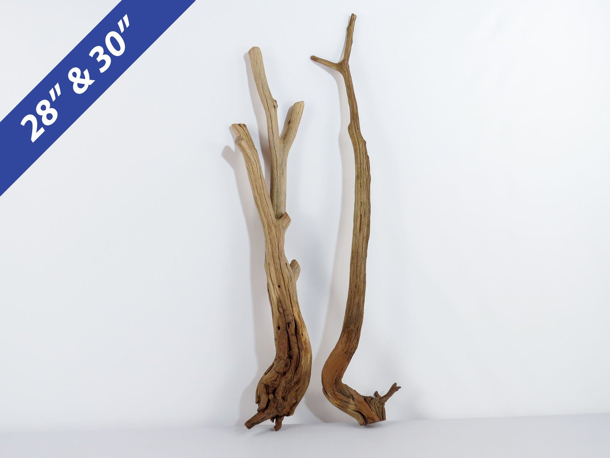 Manzanita Driftwood